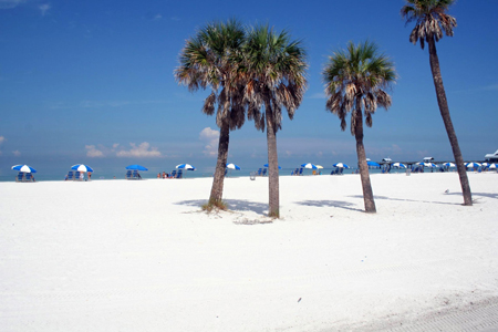 clearwater beachx